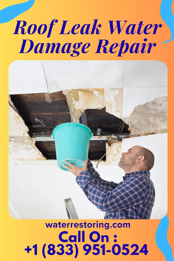 Roof Leak Water Damage Repair in Ballard, UT